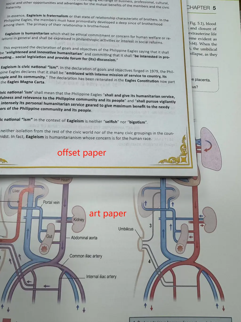 How to Choose the Right Paper Stock for Your Book Project